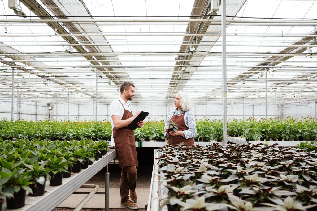 ¿Cómo puede una empresa agroalimentaria reforzar su marca más allá del producto?